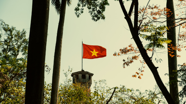 Những hành trình được thiết kế chuyên nghiệp sẽ giúp bạn trải nghiệm Việt Nam một cách đầy đủ và thuận tiện hơn